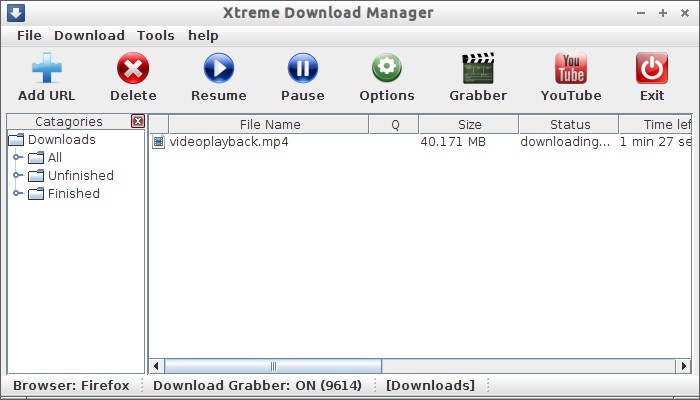 Xtreme Download Manager_002