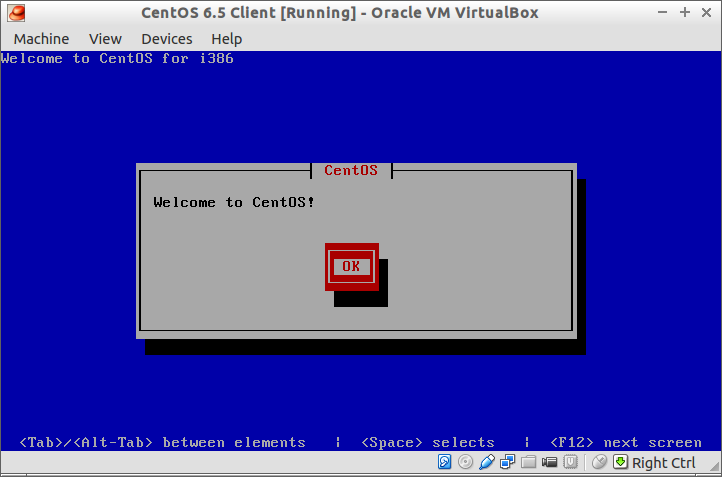 CentOS 6.5 Client [Running] - Oracle VM VirtualBox_013