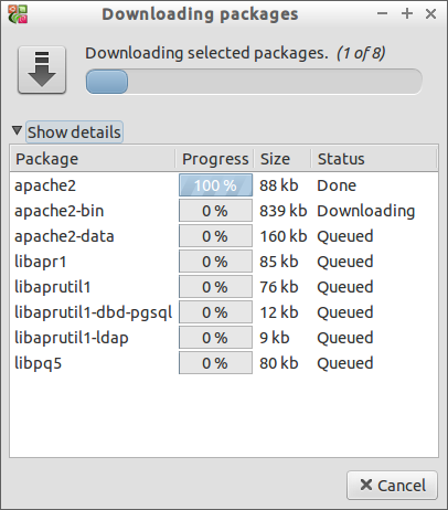 Downloading packages_009