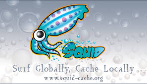 squid proxy logo
