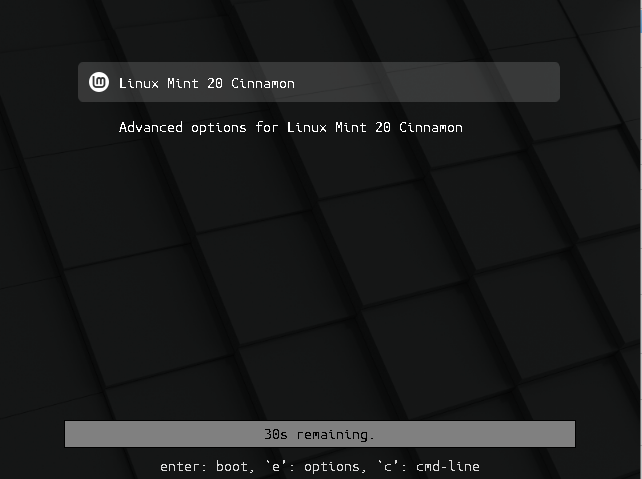 Linux Mint 20-bootloader-options