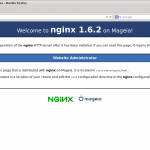 Test Page for the Nginx HTTP Server on Mageia – Mozilla Firefox_002