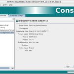 389 Management Console (server1.unixmen.local)_006