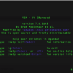 vi_terminal