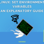 Linux Set Environment Variables