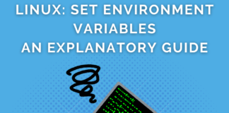 Linux Set Environment Variables