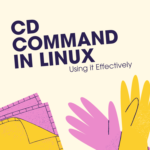 cd command