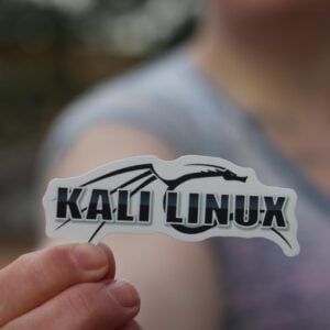 Update Kali Linux